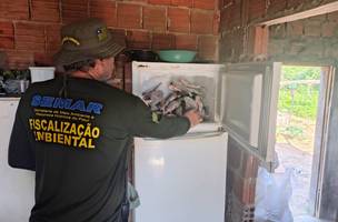 Semarh apreende 66 kg de peixe em pesca ilegal no sul do Piauí (Foto: Semarh)