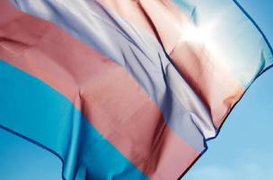 Sesapi inicia agenda do Mês da Visibilidade Trans com ações em saúde (Foto: Reprodução/Internet)