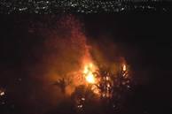 Incêndio destrói pesquisa de 30 anos na Embrapa Teresina