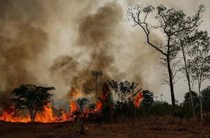 Incêndios (Foto: Reprodução)
