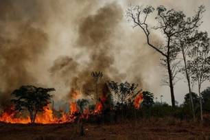 Incêndios colocam mais da metade das cidades do Amazonas em emergência