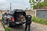 Cinco suspeitos de roubo e furto de veículos são presos em Teresina