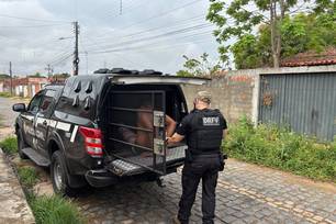 Suspeito detido na operação