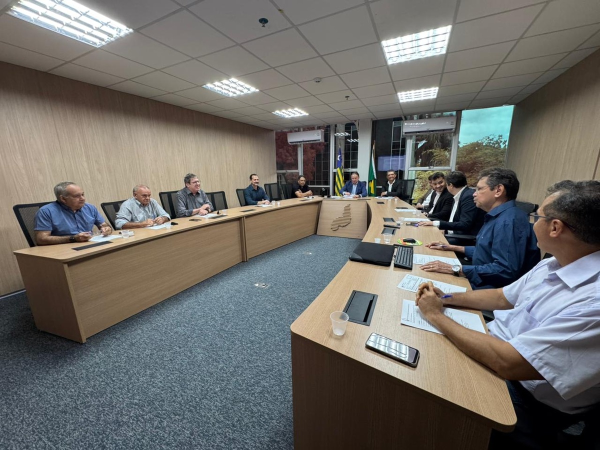 Codin aprova 7 indústrias no Piauí com R$ 32 mi e previsão de 836 empregos