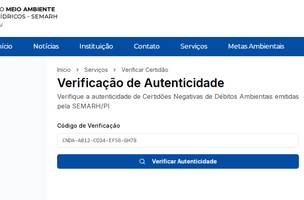 Nova ferramenta libera certidão ambiental automática e sem burocracia (Foto: Reprodução)