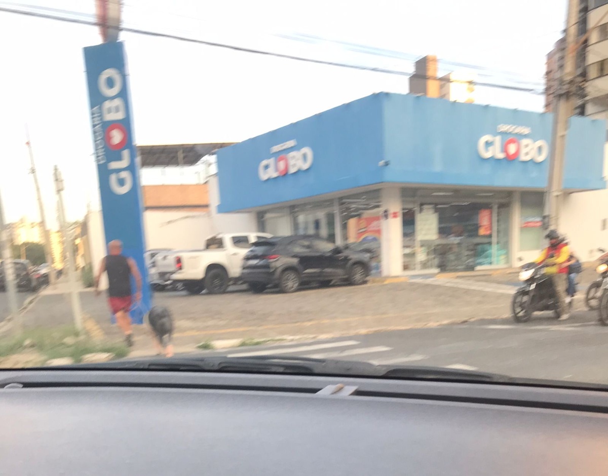 O suíno seguindo o dono nas ruas de Teresina