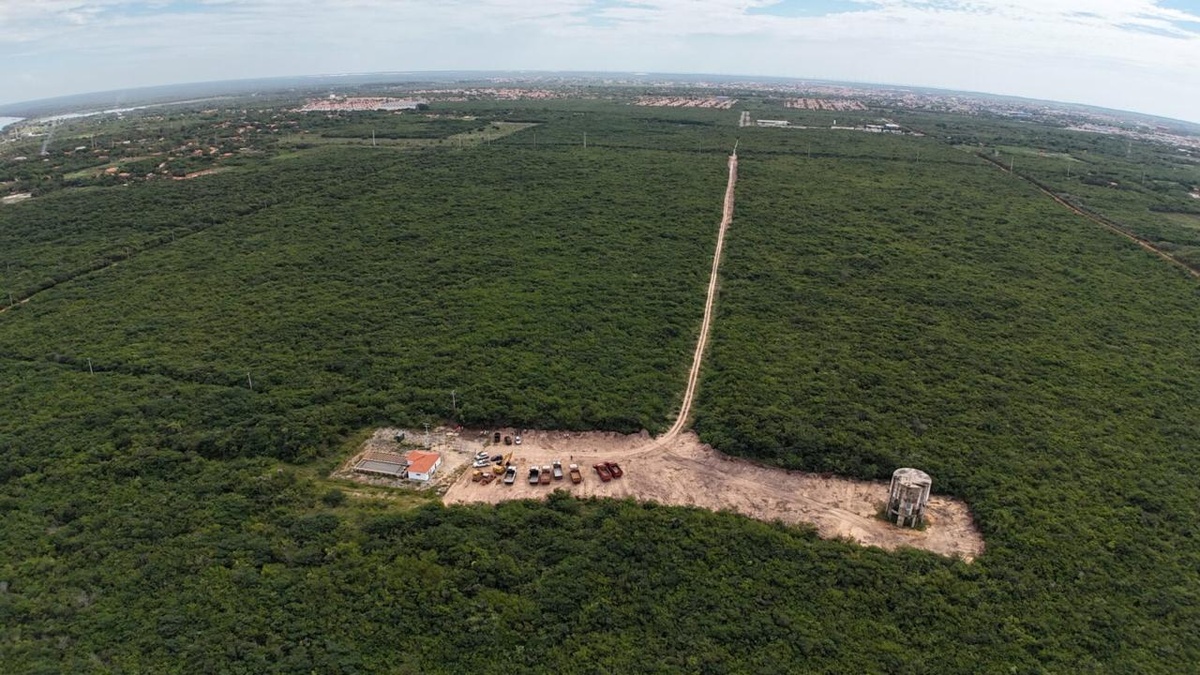 Piauí aposta em energia limpa para atrair indústria verde e empregos