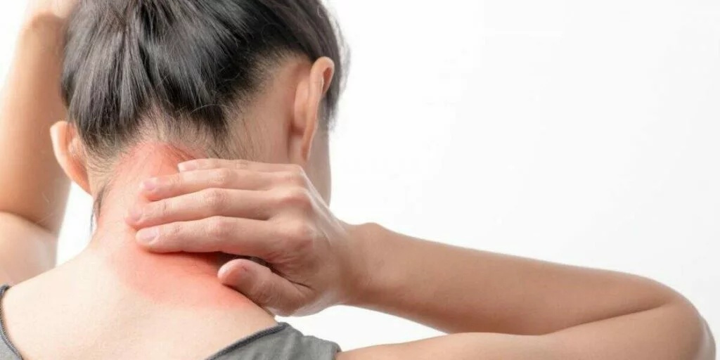 Audiência na Alepi vai discutir reconhecimento da fibromialgia como deficiência.