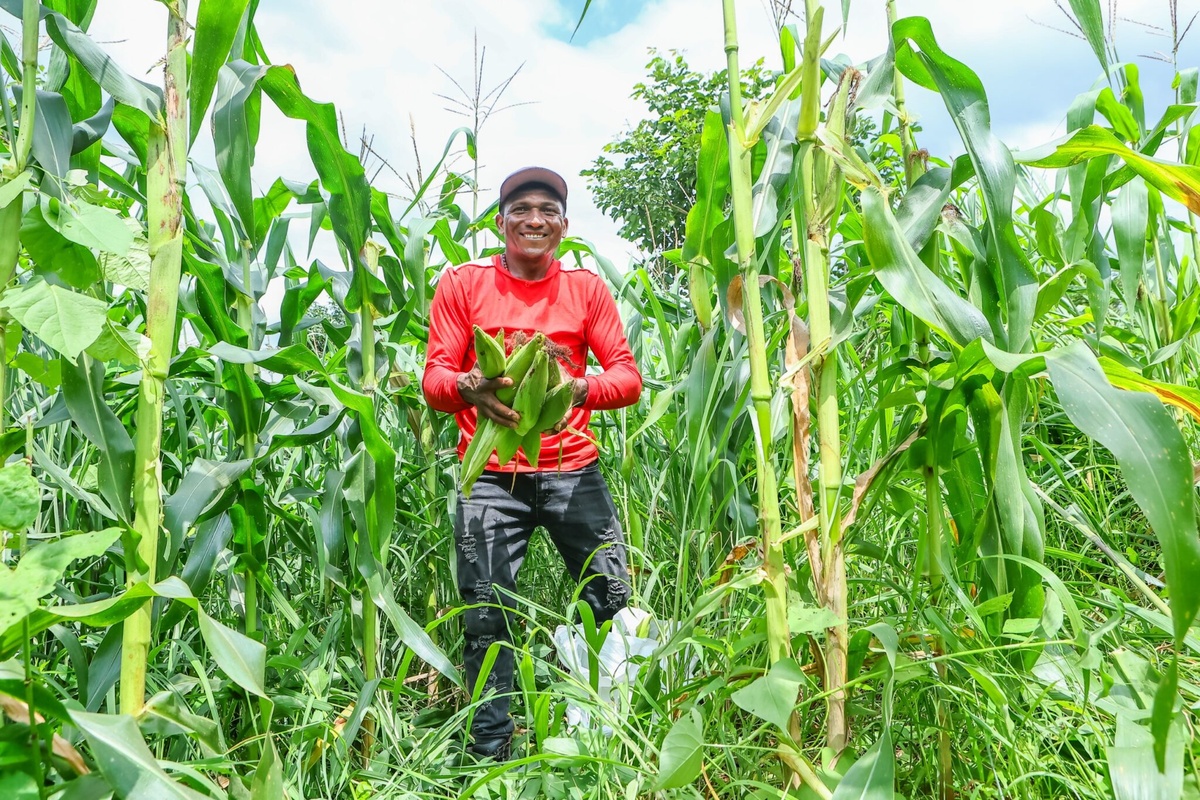 Benefício atende agricultores afetados por perdas na safra no Piauí