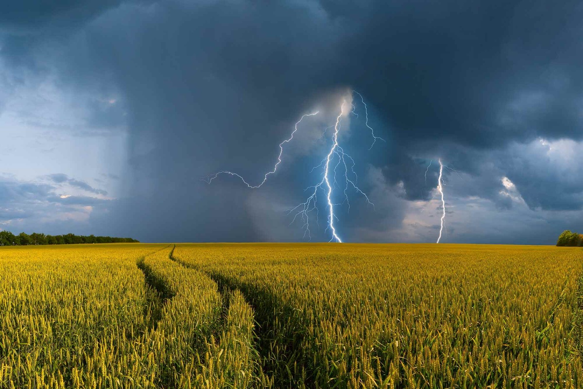 Chuvas intensas e secas prolongadas já impactam a agricultura em diferentes regiões do Piauí.