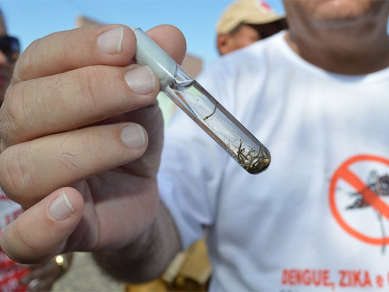 Cidade reforça combate ao mosquito após registro de novo sorotipo da dengue