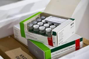 Doses de vacina começam a ser distribuídas para municípios do Piauí (Foto: Sesapi)