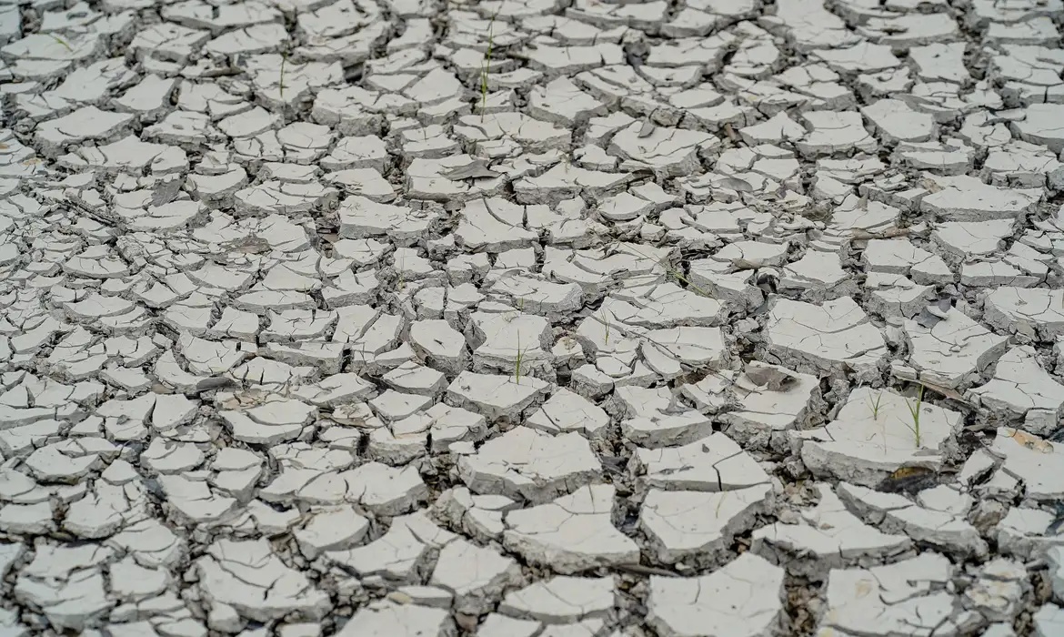 Governo reconhece emergência por seca em 15 cidades do Nordeste