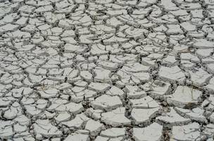 Governo reconhece emergência por seca em 15 cidades do Nordeste (Foto: Rafa Neddermeyer/Agência Brasil)