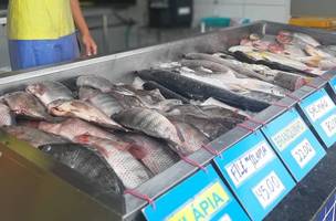 Mercado do Peixe projeta dobrar movimento na Quaresma (Foto: SDU Leste)