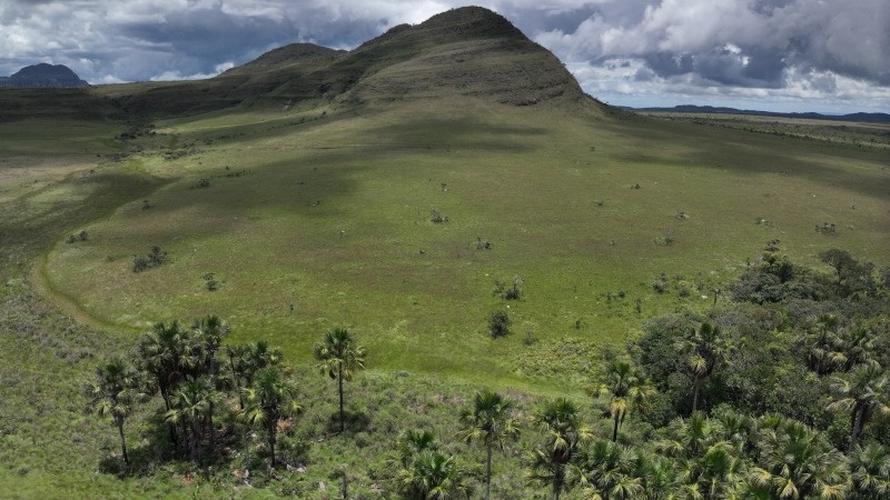 O Cerrado se destaca como o segundo maior bioma da América do Sul