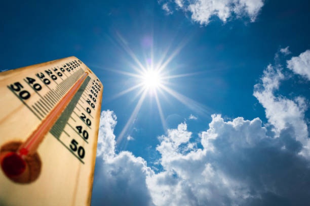 Representantes de Teresina participam de missão técnica sobre calor urbano em Salvador.