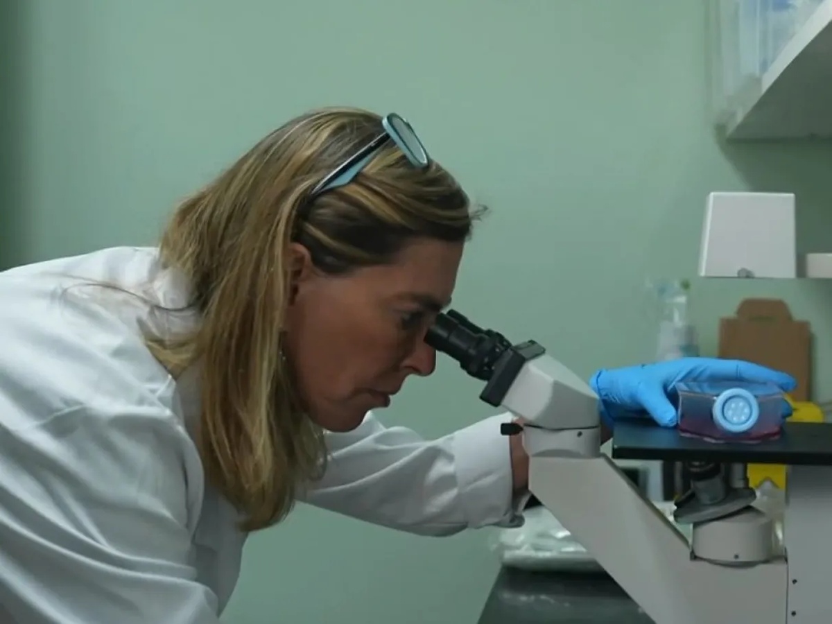 Tatiana Sampaio afirma que corrigirá estudo sobre polilaminina e manterá defesa da eficácia da substância.