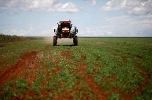 Alta global pressiona custo de fertilizantes no campo brasileiro (Foto: Reprodução)
