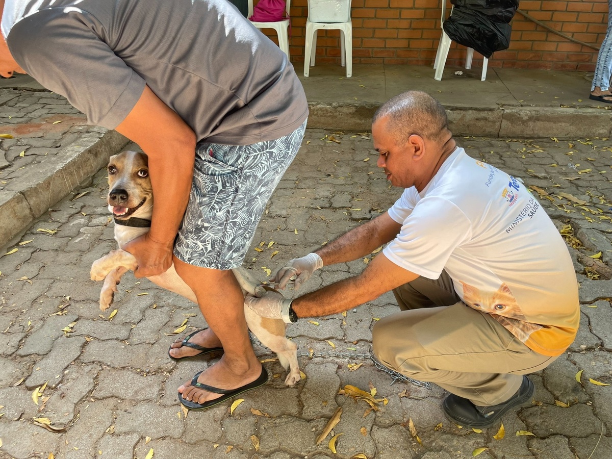 Campanha leva vacinação antirrábica a cães e gatos da zona rural