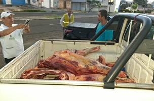 Carne sem inspeção foi retirada de circulação durante operação em Teresina (Foto: Reprodução)