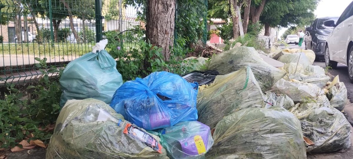 Lixo e mato avançam em áreas públicas da zona sul de Teresina