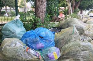 Lixo e mato avançam em áreas públicas da zona sul de Teresina (Foto: Reprodução)
