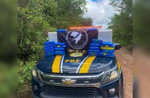 Material apreendido (Foto: Policia Rodoviária Federal)