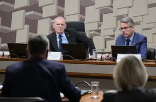 O presidente da CPI, senador Fabiano Contarato (PT-ES), e o relator, senador Alessandro Vieira (MDB-SE) (Foto: Agência Senado)