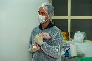 O primeiro clone de suíno, que nasceu saudável, com 1,7 kg, no colo do pesquisador Ernesto Goulart (Foto: Docme Comunicação para Genoma USP/divulgação)