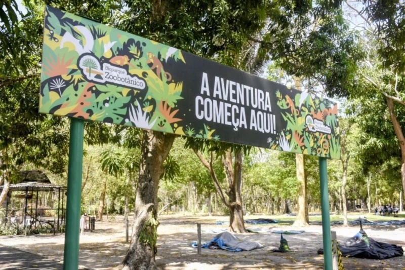 programação para os autistas
