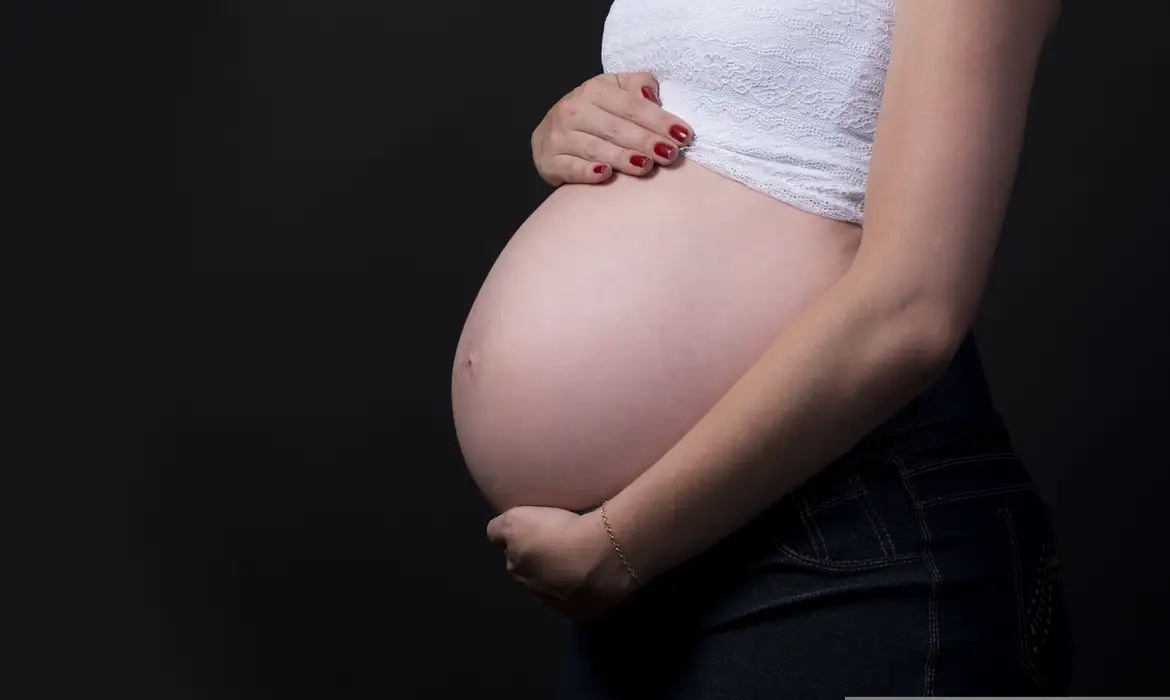 Regulamenta a profissão de doula