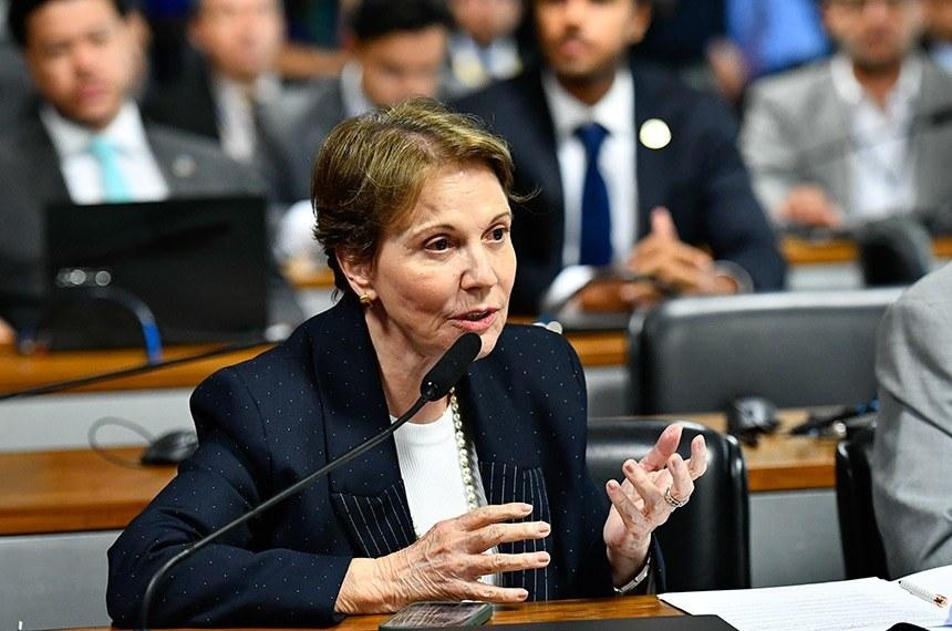 Tereza Cristina durante sessão no Senado. Foto: Geraldo Magela / Agência Senado