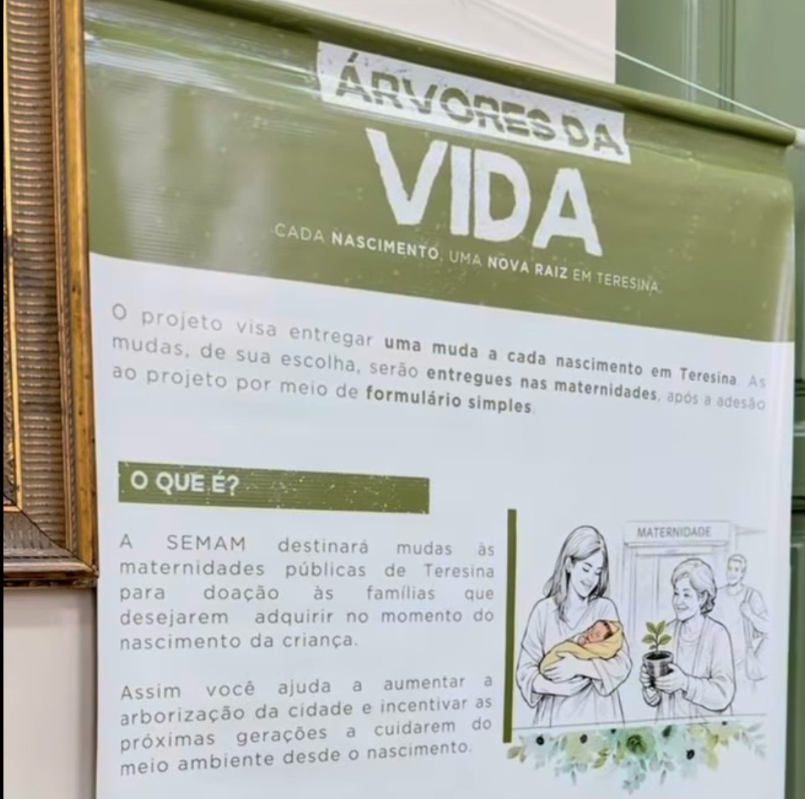Árvores da vida