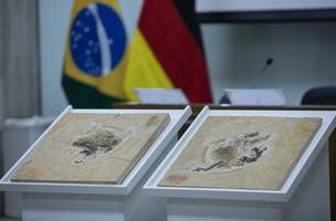 Brasil tenta recuperar fósseis históricos levados ilegalmente para museus no exterior. (Foto: Joédson Alves/Agência Brasil)