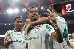 campeão (Foto: Palmeiras)