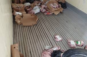 Carga de carne vencida foi apreendida durante fiscalização na BR-316, em Picos. (Foto: Adapi)