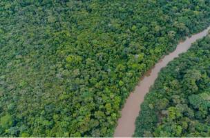 Floresta Amazônica (Foto: Divulgação)
