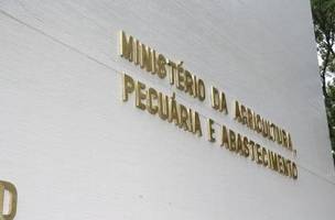 ok (Foto: Agência Brasil)
