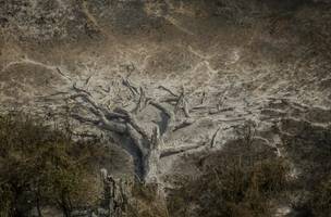 Pesquisa mostra avanço dos impactos climáticos na rotina dos brasileiros. (Foto: Joédson Alves/Agência Brasil)
