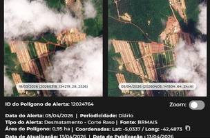Piauí teve a maior queda do desmatamento no Cerrado em 2026. (Foto: Semarh)