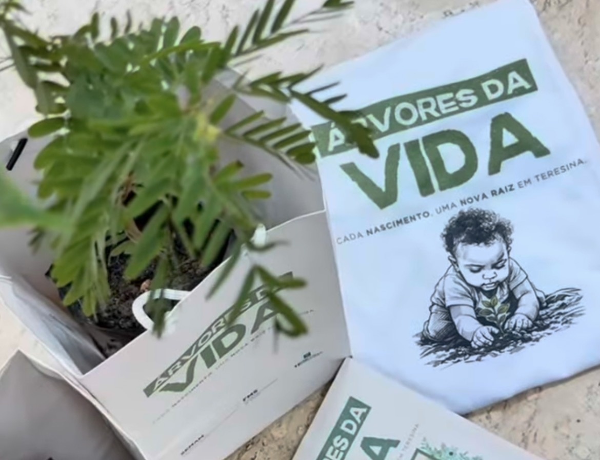 Projeto ‘Árvores da Vida’ entrega mudas para bebês e suas famílias