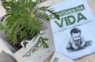 Projeto ‘Árvores da Vida’ entrega mudas para bebês e suas famílias (Foto: Reprodução)