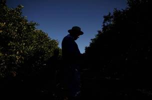 Agricultor em pomar em Formoso, Estado de Minas Gerais - 16/07/2025 (Foto: REUTERS/Adriano Machado)