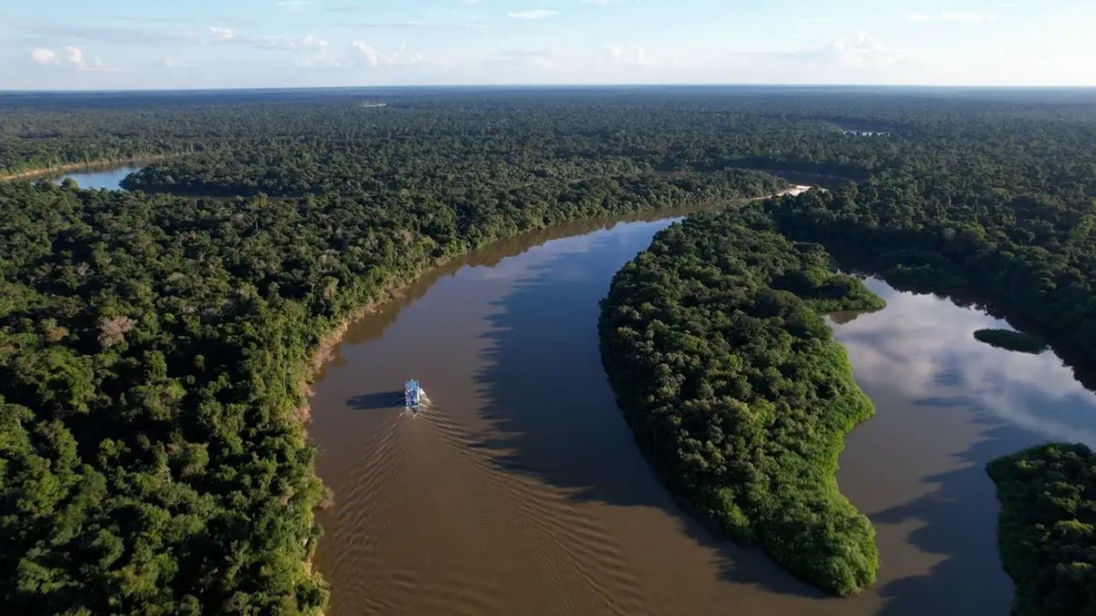 Amazônia registra menor índice de alertas para maio desde o início da série histórica do Deter.