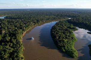 Amazônia registra menor índice de alertas para maio desde o início da série histórica do Deter. (Foto: Reprodução/TV Brasil)