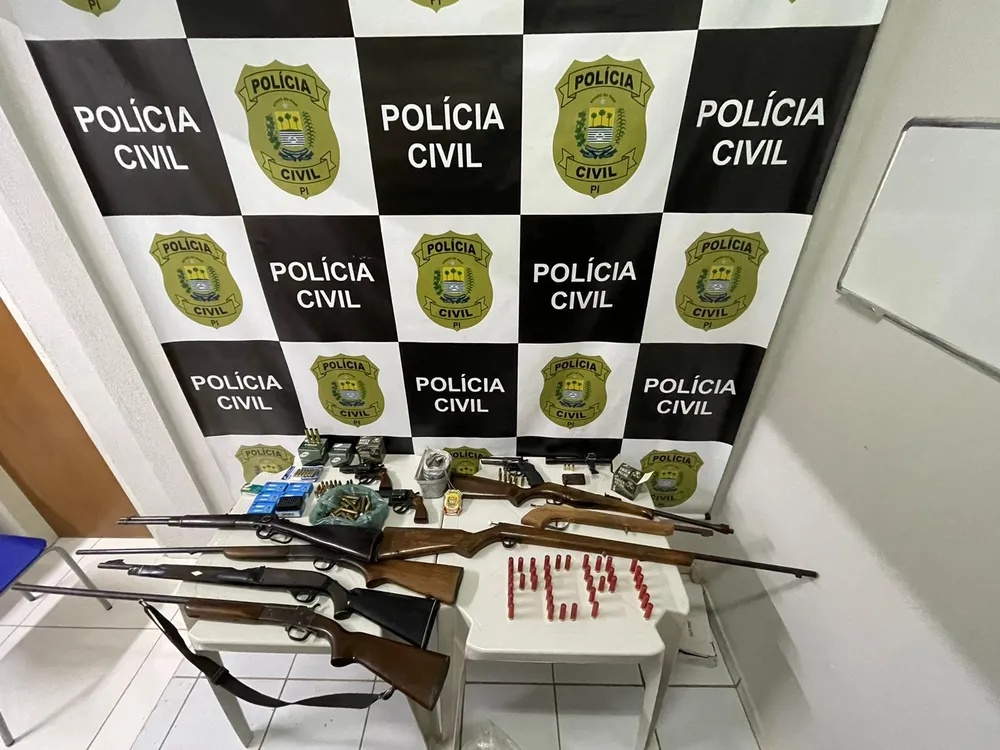Armas e munições apreendidas