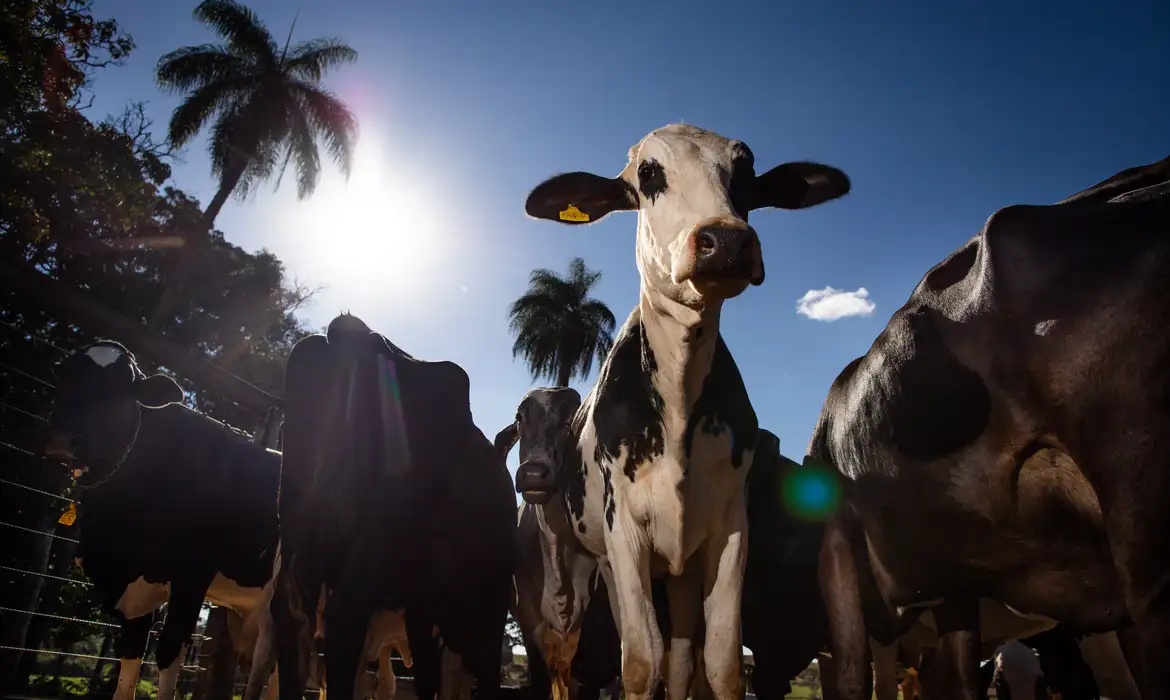 Decisão da União Europeia impõe novas barreiras à exportação de produtos de origem animal do Brasil.