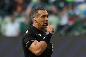 Felipe Fernandes de Lima, árbitro da partida entre Palmeiras e Chapecoense (Foto: Cesar Greco / Palmeiras)