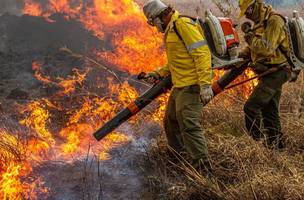 Incêndios em áreas protegidas motivam reforço nos investimentos federais em prevenção e fiscalização. (Foto: Mayandi Inzaulgarat/ICMBio)